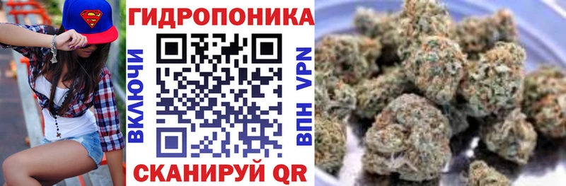 Шишки марихуана THC 21% Чкаловск